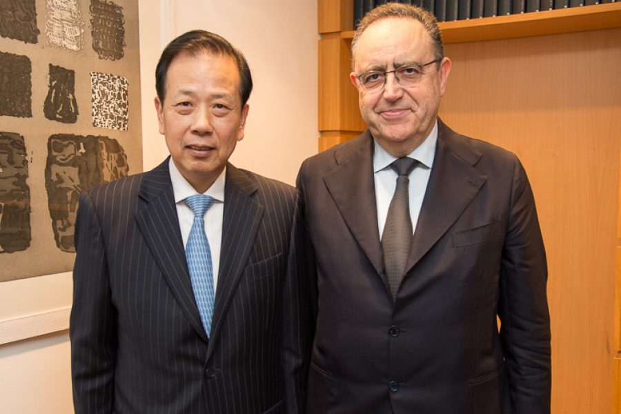 Incontro con S.E. LI RUIUY
